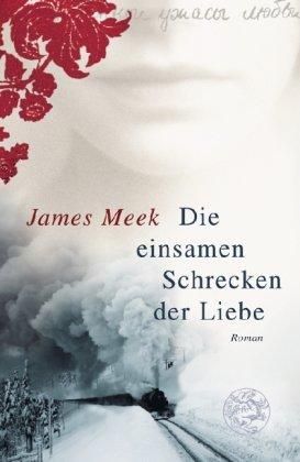 Die einsamen Schrecken der Liebe: Roman