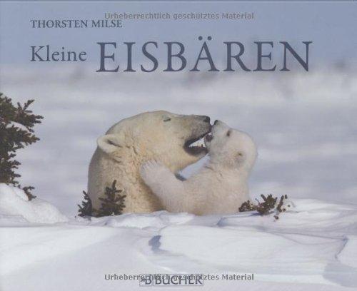 Kleine Eisbären