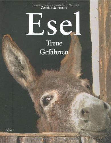 Esel: Treue Gefährten