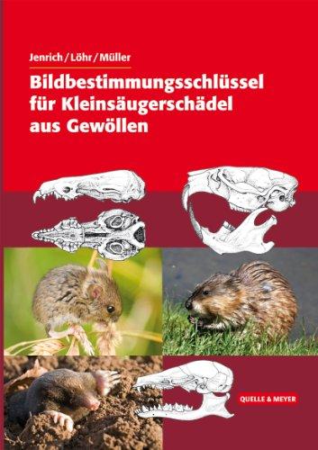 Bildbestimmungsschlüssel für Kleinsäugerschädel aus Gewöllen