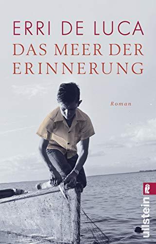 Das Meer der Erinnerung: Roman