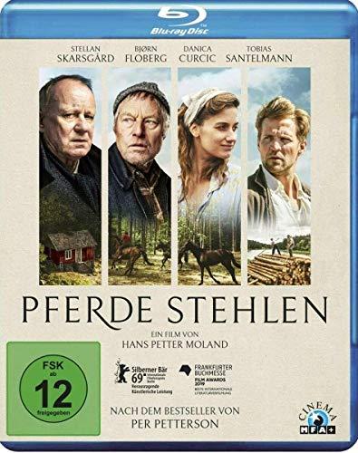 Pferde stehlen [Blu-ray]