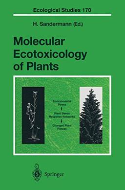 Molecular Ecotoxicology of Plants (Ecological Studies, 170, Band 170)