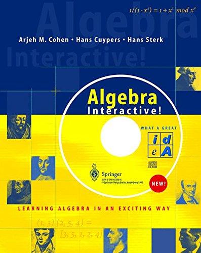 Algebra Interactive!: Learning Algebra in an Exciting Way