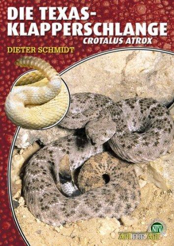 Die Texas-Klapperschlange - Crotalus atrox