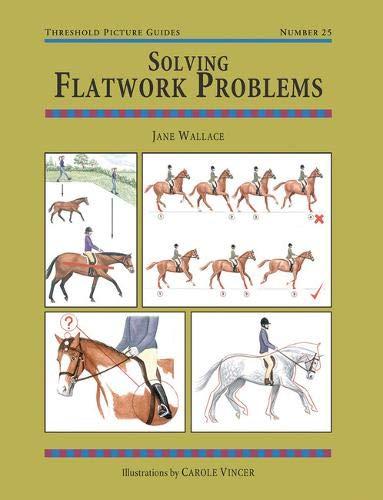 Solving Flatwork Problems (Threshold Picture Guides)