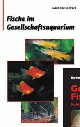 Fische im Gesellschaftsaquarium