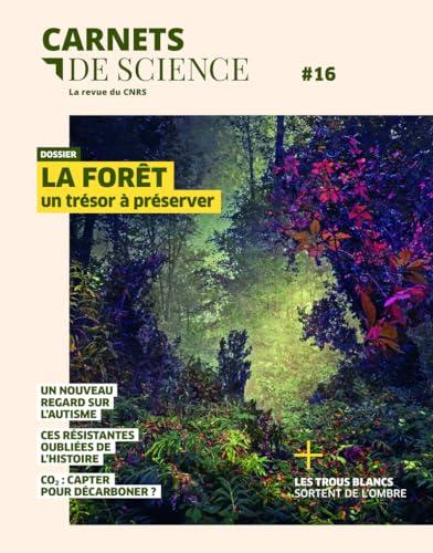 Carnets de science, n° 16. La forêt : un trésor à préserver