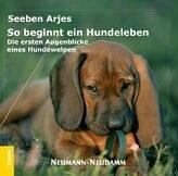 So beginnt ein Hundeleben: Die ersten Augenblicke eines Hundewelpen