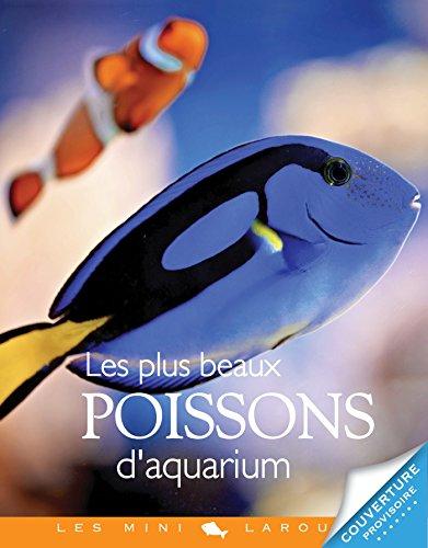 Les plus beaux poissons d'aquarium