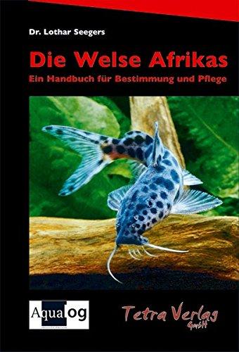 Die Welse Afrikas: Ein Handbuch für Bestimmung und Pflege