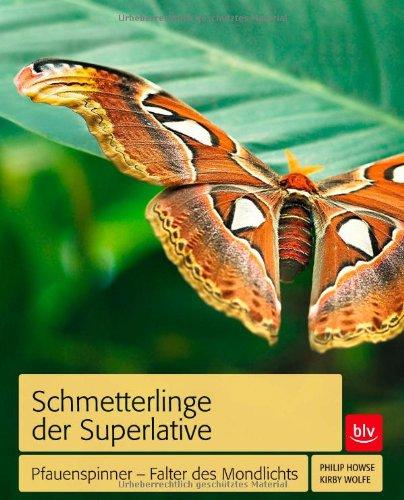 Schmetterlinge der Superlative: Pfauenspinner - Falter des Mondlichts