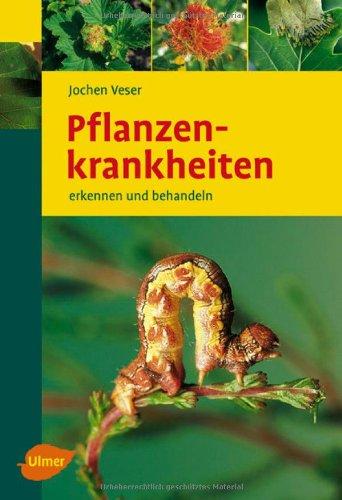 Pflanzenkrankheiten: Erkennen und behandeln