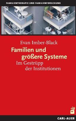 Familien und größere Systeme: Im Gestrüpp der Institutionen