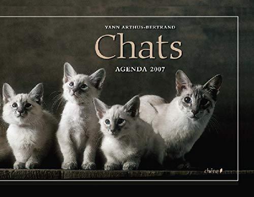 Agenda chats 2007