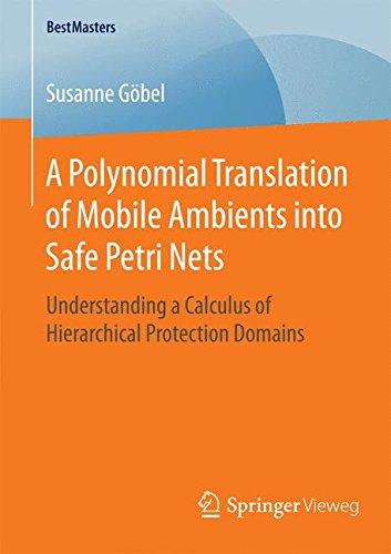 A Polynomial Translation of Mobile Ambients into Safe Petri Nets: Understanding a Calculus of Hierarchical Protection Domains (BestMasters)