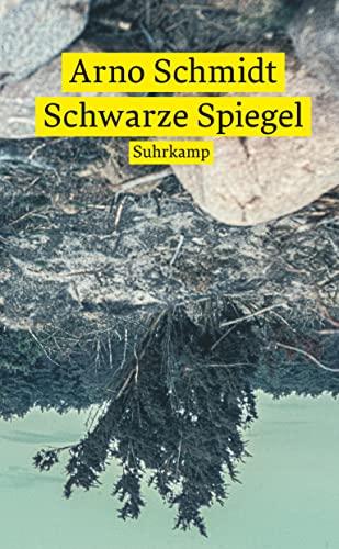 Schwarze Spiegel (suhrkamp taschenbuch)