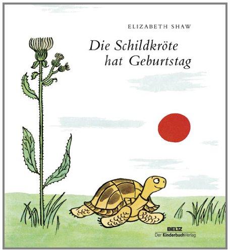 Die Schildkröte hat Geburtstag