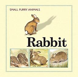 Rabbit (Small Furry Animals, Band 2)