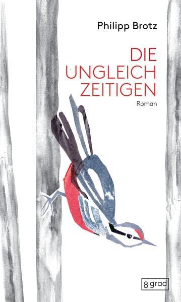 Die Ungleichzeitigen: Zwei, die den Boden unter den Füßen verloren haben – verbunden über Welten hinweg. Ein Entwicklungsroman über Heimatverlust, Selbstfindung und Toleranz.