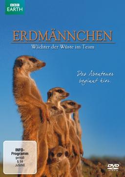 Erdmännchen - Wächter der Wüste im Team