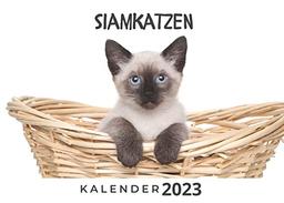 Siamkatzen: Kalender 2023