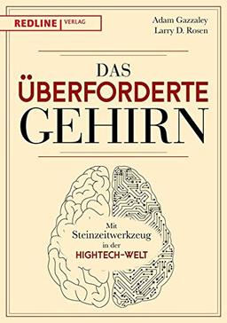 Das überforderte Gehirn: Mit Steinzeitwerkzeug in der Hightech-Welt