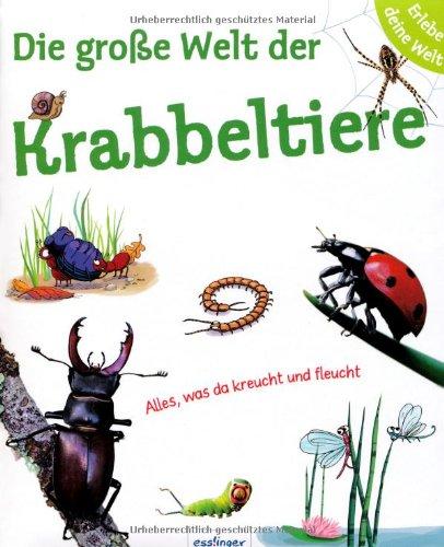 Die große Welt der Krabbeltiere: Erlebe deine Welt