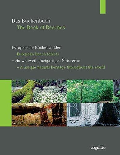 Das Buchenbuch Europäische Buchenwälder - ein weltweit einzigartiges Naturerbe: Europäische Buchenwälder / European beech forests - ein weltweit ... unipue natural heritage throughout the world