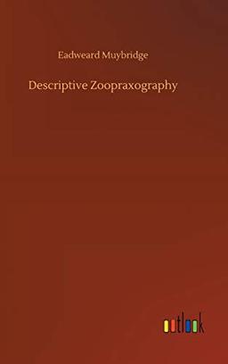 Descriptive Zoopraxography