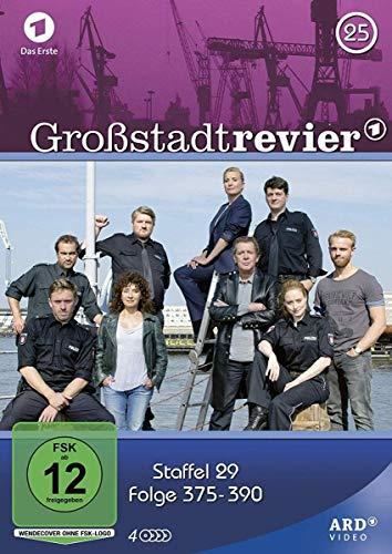 Großstadtrevier 25 - Folge 375 bis 390 [4 DVDs]