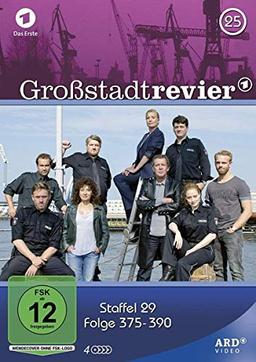 Großstadtrevier 25 - Folge 375 bis 390 [4 DVDs]