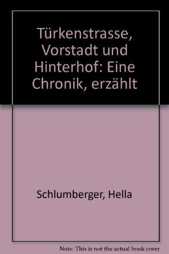 Türkenstrasse, Vorstadt und Hinterhof: Eine Chronik, erzählt