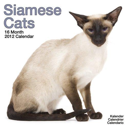 Kalender 2012 Siamkatzen - Siamesen - Siamese Cats