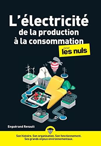 L'électricité, de la production à la consommation, pour les nuls