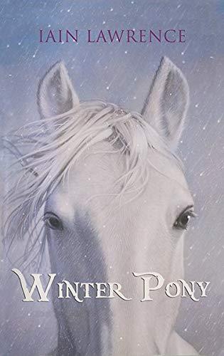 Winterpony