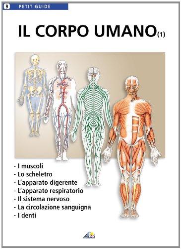 Il corpo humano. Vol. 1. II muscoli, lo scheletro, l'apparato digerente, l'apparato respiratorio, il sistema nervoso, la circolazione sanguina, i denti