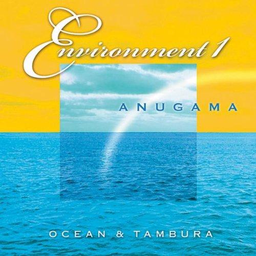 Ocean & Tambura-Enviroment 1