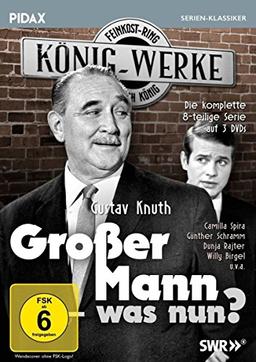 Großer Mann - was nun? / Die komplette 8-teilige Kultserie mit Gustav Knuth (Pidax Serien-Klassiker) [3 DVDs]