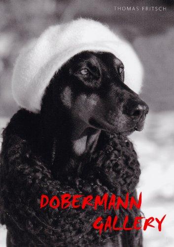 Dobermann Gallery