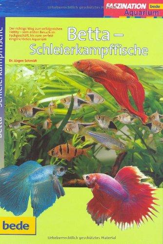 Betta-Schleierkampffische, Faszination