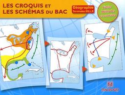 Les croquis et les schémas du bac : géographie terminales ES, L, S : fichier méthodes et exercices