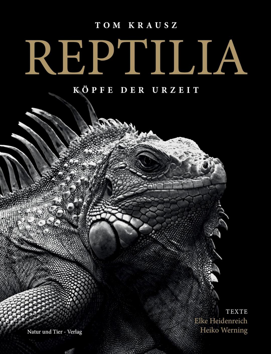 REPTILIA: Köpfe der Urzeit