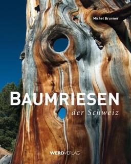 Baumriesen der Schweiz