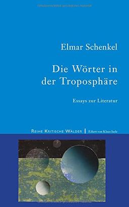 Die Wörter in der Troposphäre: Essays zur Literatur