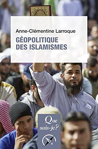 Géopolitique des islamismes