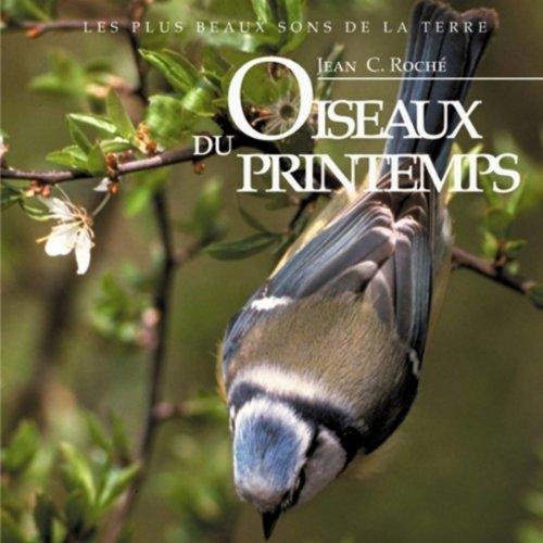 Oiseaux Du Printemps