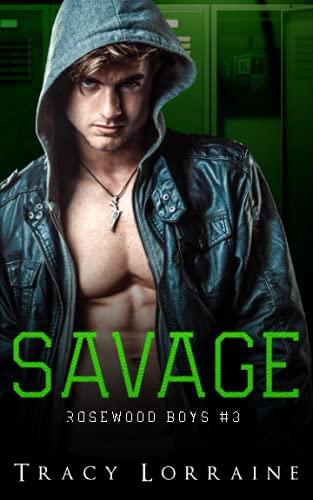 Savage: Un roman d’amour noir au lycée (Rosewood Boys, Band 3)