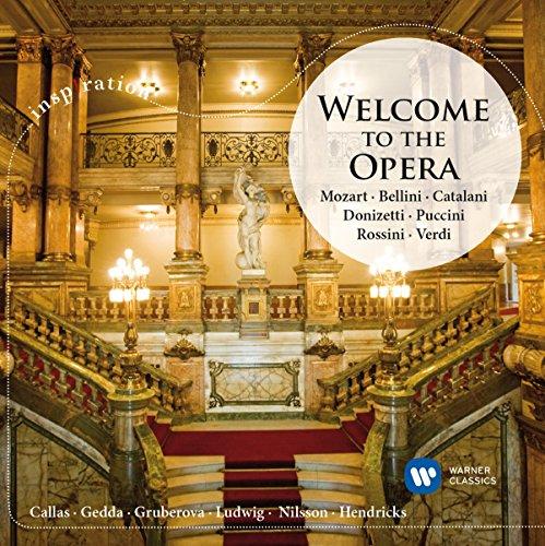 Welcome to the Opera