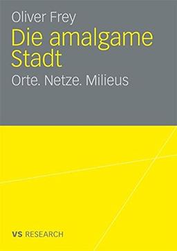 Die Amalgame Stadt: Orte. Netze. Milieus (German Edition)